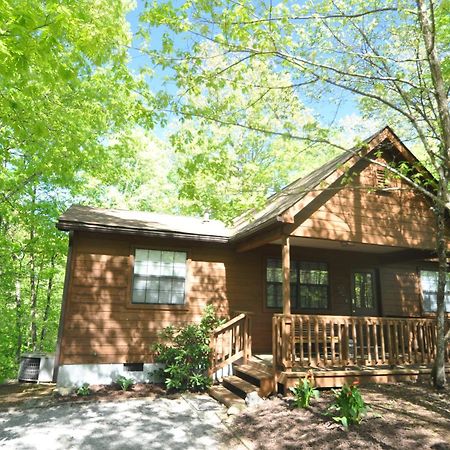 Adalynn'S Mountain Retreat-Hot Tub, 1089 Of Free Tickets For Each Paid Day, Dollywood And More! Pigeon Forge Exterior photo